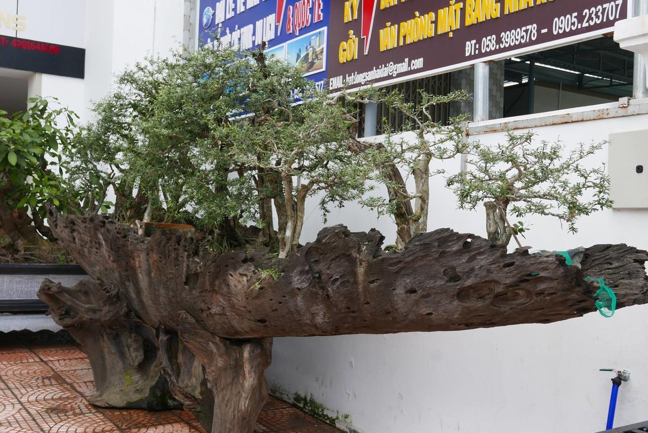 Allure Hotel Thuy Trieu Kültér fotó